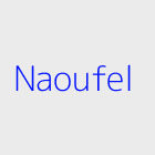 Bureau d'affaires immobiliere naoufel