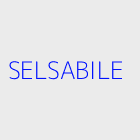 Agence immobiliere SELSABILE