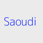 Agence immobiliere saoudi