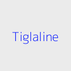 Agence immobiliere Tiglaline