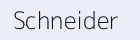 Schneider Electric