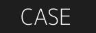 CASE Logo