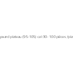 kiwis Hayward plateau (95-105) cal:30- 100 pièces /plateau