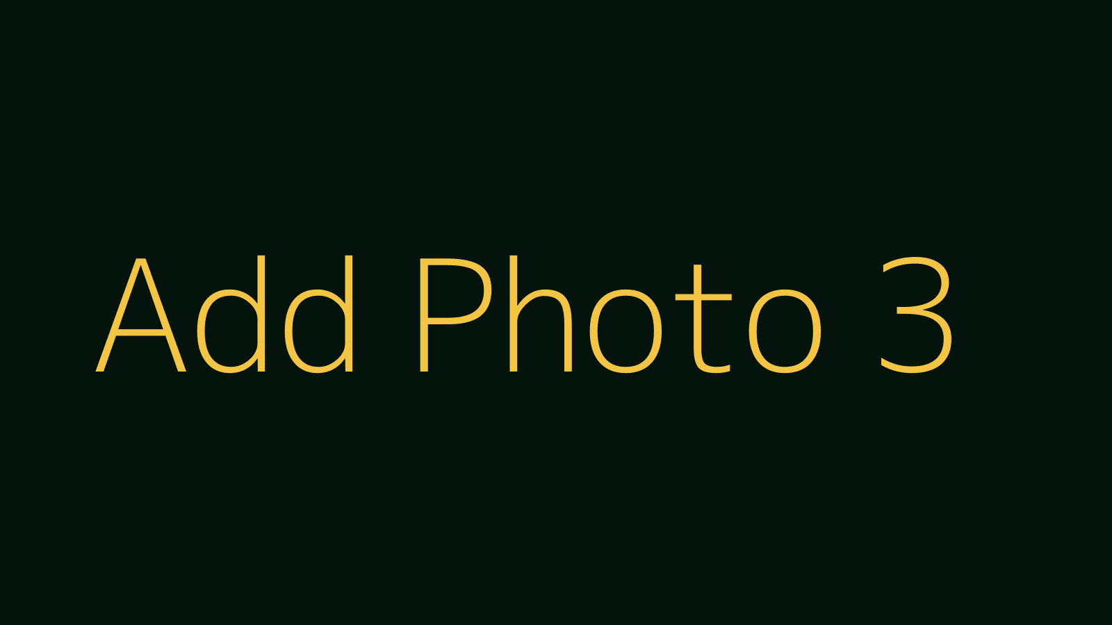 MAD DADS event photo placeholder 3