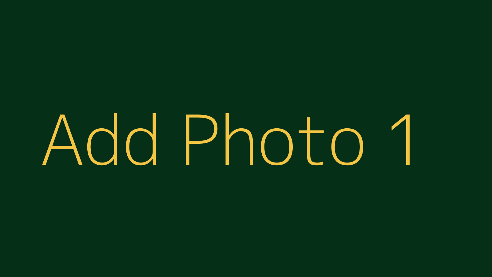MAD DADS event photo placeholder 1