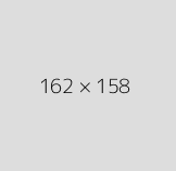 Bolander's Monkeyflower