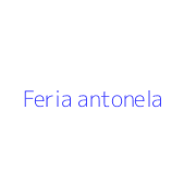 Feria antonela