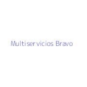 Multiservicios Bravo