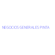 NEGOCIOS GENERALES PINTA