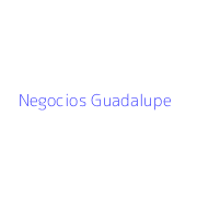 Negocios Guadalupe