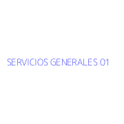 SERVICIOS GENERALES 01