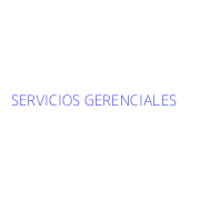 SERVICIOS GERENCIALES