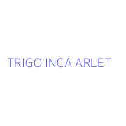 TRIGO INCA ARLET
