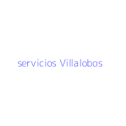 servicios Villalobos