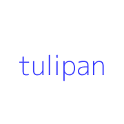 tulipan
