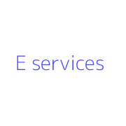E services