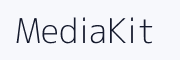 MediaKit logo placeholder