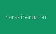 Gagasan Kemerdekaan Palestina Mantan Kepala BIN dan Mantan Wakil Kepala BIN Dimuat Koran Mesir