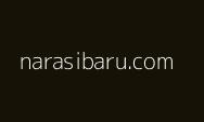 Libur Nataru Telah Tiba, Ini Tips dari Polri agar  Aman, Nyaman dan Selamat