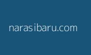 Pemkab Murung Raya Ikuti Sosialisasi SIA SPBE Nasional