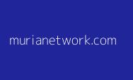 Starlink Berbahaya bagi Indonesia