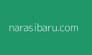 Pemerintah Diduga Jual Hak Guna Usaha di IKN Hingga 190 Tahun ke Investor