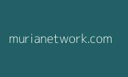 Pi coin dalam Sorotan: Analisis Harga dan Perspektif Investor, Apakah Pi Network Dahsyat? ini Penjelasannya
