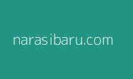 Hacker Janji Hari Ini Beri Kunci Data PDN, Kemenkominfo Ogah Menanggapi