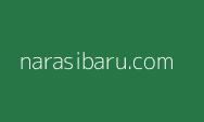 Tenaga Honorer Yang Berada Di Daerah 3T Jadi Prioritas Pengangkatan ASN 2024, Cek Daerahmu!