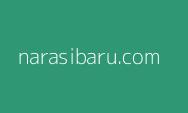 Dilaporkan Balik, Ini Rekam Jejak Hakim Dennie Arsan Pemvonis Tom Lembong: Karier Moncer hingga Harta Meroket!