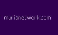 Starlink Berbahaya bagi Indonesia