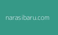 Pengamat: Bicara Renovasi JIS Bagian Mana? Kalau Cuma Rumput 2 Bulan Kelar!