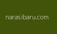 Kabar Terbaru! ASN Pindah ke IKN Tidak Gratis, Harus Bayar Sewa Rumah