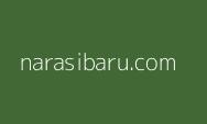 Biadabnya Israel, Sehari Bunuh 320 Warga Gaza