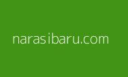 Diberdayakan Modal Usaha Program PUMK PT Timah Tbk, Bisnis Cuci Mobil dan Rent Mobil Ariansyah Terus Berkembang