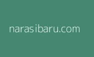 Gerak Cepat Romi Hariyanto Atasi Musibah Banjir di Tanjung Jabung Timur