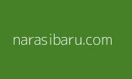 Ketika 9 Naga Datang ke IKN dengan Investasi Rp20 Triliun