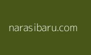 Terungkap, Pembuang Bayi di Kebun Karet Bingkulu Ternyata Ibunya Sendiri, Motifnya Malu karena Status Janda