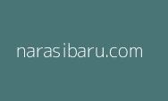 Pemkab Murung Raya Ikuti Sosialisasi SIA SPBE Nasional