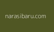 Pemerintah Rencanakan Tarik Iuran Pariwisata Lewat Tiket Pesawat