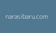 Kabar Gembira, Ada Kuota CASN 2024 Bagi Tenaga Honorer yang Tidak Lolos PPPK 2023!