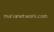 Pakar: Sistem Keamanan PDN Lemah, Seperti Level Warnet