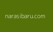 Sudah Jarang Tampil di Layar Kaca, Adi Bing Slamet: Biasa Aja