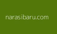 Terbaru Jadwal Gaji 13 Cair untuk PNS, TNI-Polri, Pensiunan dan PPPK Serta Besarannya