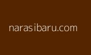 Presiden Dinilai Sibuk Cari Pengganti, Ini Kata Peneliti BRIN