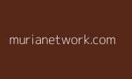 Terkuak Fakta Mengejutkan, Akses ke Server PDN Ternyata Cuma Pakai Password Admin#1234