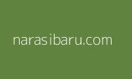 Ketika 9 Naga Datang ke IKN dengan Investasi Rp20 Triliun