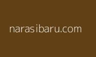 Dino Patti Djalal Bongkar Dalang di Balik Penjarahan Rumah Sri Mulyani!