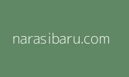 Kemenhub: Sejumlah Bandara Dibangun Hingga ke Penjuru Negeri