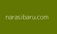 Progres Pesat Pembangunan IKN: Rumah Tapak Jabatan Menteri, Hunian ASN, dan Smart Forest City